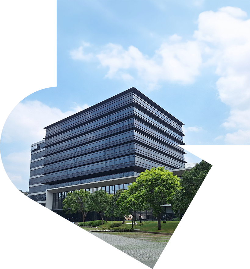 龙八国际光电股份有限公司